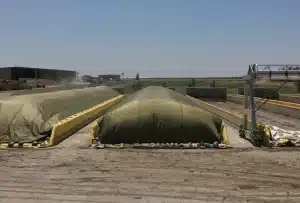 kerman-ca-mid-valley-disposal