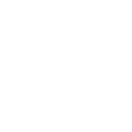 project support